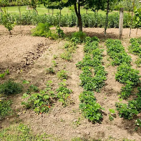 Casa vacanze Casale Vacanze Il Granaio *